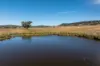 606 Sutherland Road, Koorawatha, NSW 2807-Image