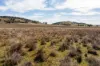 606 Sutherland Road, Koorawatha, NSW 2807-Image