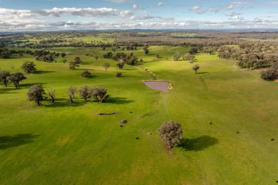 6096 Hume Highway, Kyeamba, NSW 2650
