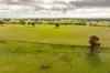 6096 Hume Highway, Kyeamba, NSW 2650-Image
