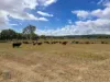 61 - 64, Oaky Creek Road, Oaky Creek, Qld 4285-Image