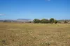 61 - 64, Oaky Creek Road, Oaky Creek, Qld 4285-Image