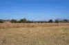 61 - 64, Oaky Creek Road, Oaky Creek, Qld 4285-Image