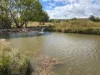 61 - 64, Oaky Creek Road, Oaky Creek, Qld 4285-Image