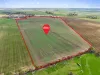 61 Baker Road, Brinkley, SA 5253-Image