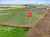 61 Baker Road, Brinkley, SA 5253-Image