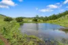 61 Euston Road, Glastonbury, Qld 4570-Image
