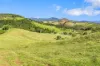 61 Euston Road, Glastonbury, Qld 4570-Image
