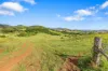 61 Euston Road, Glastonbury, Qld 4570-Image