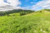 61 Euston Road, Glastonbury, Qld 4570-Image