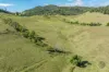 61 Euston Road, Glastonbury, Qld 4570-Image