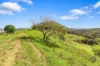61 Euston Road, Glastonbury, Qld 4570-Image