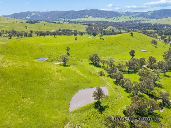 61 Guymers Road, Homewood, Vic 3717