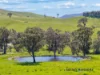 61 Guymers Road, Homewood, Vic 3717-Image