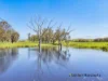 61 Guymers Road, Homewood, Vic 3717-Image