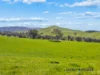 61 Guymers Road, Homewood, Vic 3717-Image
