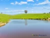61 Guymers Road, Homewood, Vic 3717-Image