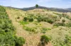 611 Wooderson Road, Wooderson, Qld 4680-Image