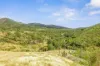 611 Wooderson Road, Wooderson, Qld 4680-Image