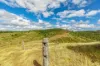 611 Wooderson Road, Wooderson, Qld 4680-Image