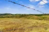 611 Wooderson Road, Wooderson, Qld 4680-Image