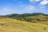 611 Wooderson Road, Wooderson, Qld 4680-Image