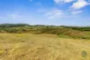 611 Wooderson Road, Wooderson, Qld 4680-Image