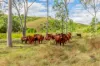 611 Wooderson Road, Wooderson, Qld 4680-Image