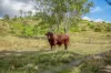 611 Wooderson Road, Wooderson, Qld 4680-Image