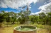 611 Wooderson Road, Wooderson, Qld 4680-Image