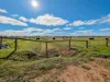 614 Nullabooma Road, Wakool, NSW 2710-Image