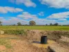 614 Nullabooma Road, Wakool, NSW 2710-Image