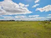 614 Nullabooma Road, Wakool, NSW 2710-Image
