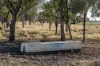 6210 Carnarvon Highway, Thallon, Qld 4497-Image