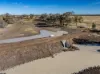 6210 Carnarvon Highway, Thallon, Qld 4497-Image