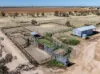 6210 Carnarvon Highway, Thallon, Qld 4497-Image