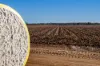 6210 Carnarvon Highway, Thallon, Qld 4497-Image