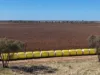 6210 Carnarvon Highway, Thallon, Qld 4497-Image