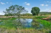 627B Myocum Road, Myocum, NSW 2481-Image
