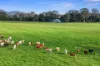63 Bellmary Road, Curra, Qld 4570-Image