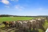 63 Bellmary Road, Curra, Qld 4570-Image
