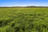 63 Bellmary Road, Curra, Qld 4570-Image
