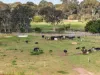 633 Mewburn Park Road, Maffra, Vic 3860-Image