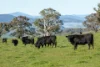 641 Maragle Creek Road, Tooma, NSW 2642-Image