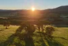641 Maragle Creek Road, Tooma, NSW 2642-Image