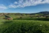 641 Maragle Creek Road, Tooma, NSW 2642-Image