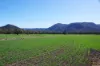 645 Glencoe Road, Maules Creek, NSW 2382-Image