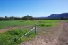 645 Glencoe Road, Maules Creek, NSW 2382-Image