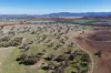 645 Glencoe Road, Maules Creek, NSW 2382-Image