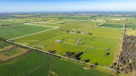 65 Lee Valley Road, Collendina, NSW 2646
